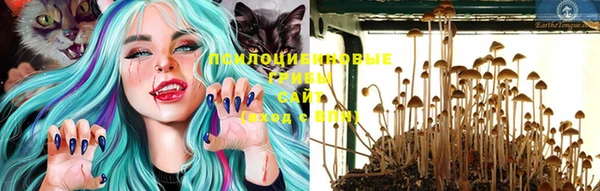 стафф Балабаново