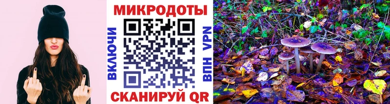 Галлюциногенные грибы Cubensis Тогучин